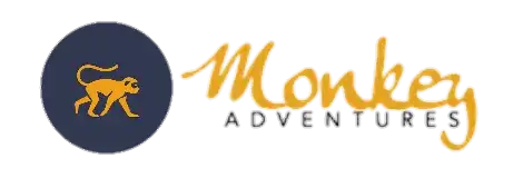 Monkey Adventures